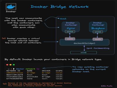 Docker Bridge Network